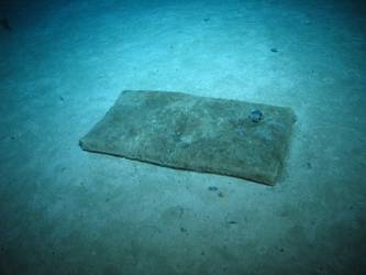 Splinter mat on seabed